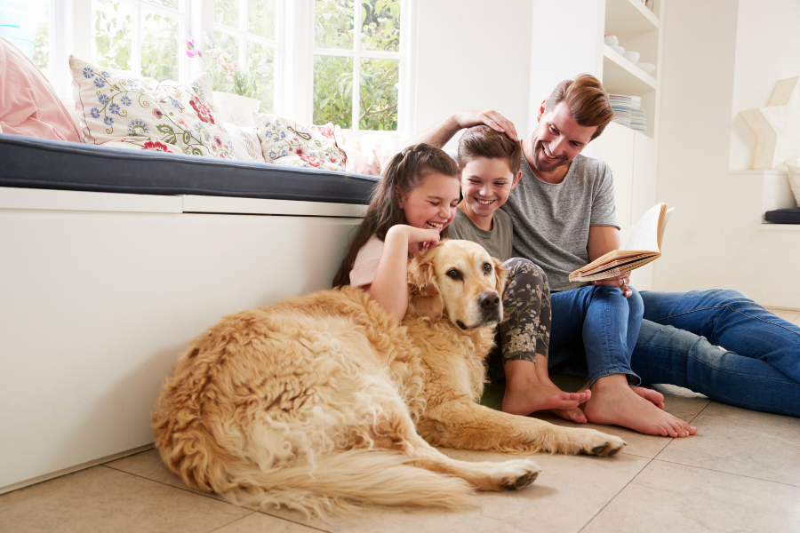 family with dog enjoying indoor air conditioning