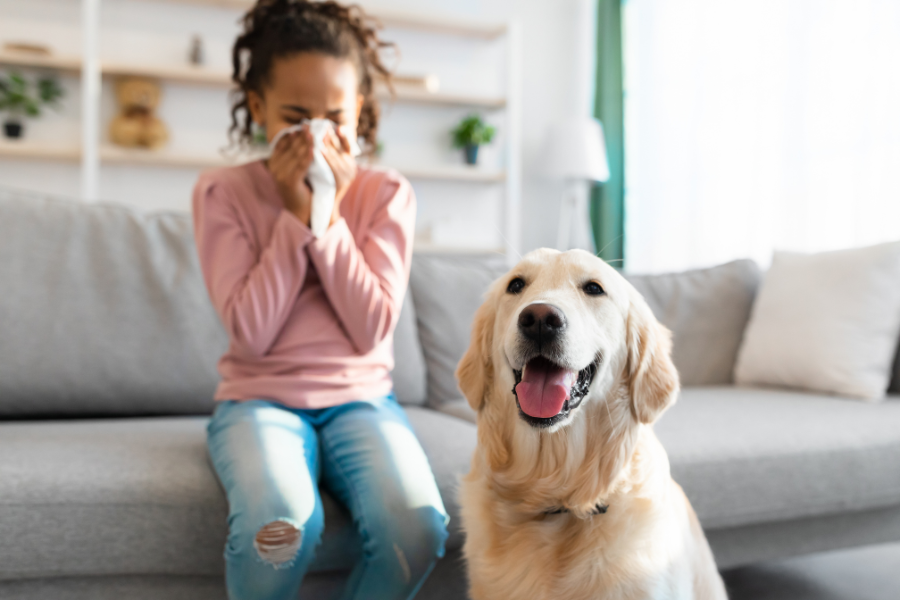 Allergy-Proof Your Home: Effective Tips for Cleaner Indoor Air in Texas blog image of a young girl blowing her nose with a dog close by